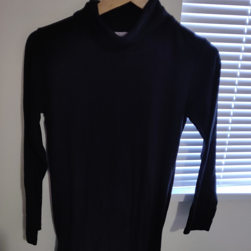Noul Turtleneck Dress